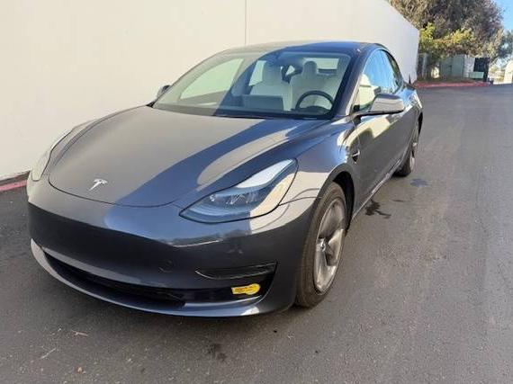 TESLA MODEL 3 2023 5YJ3E1EA4PF384303 image